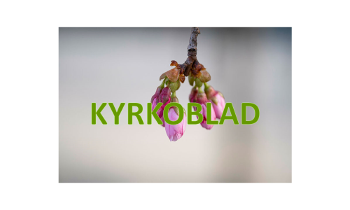 Här kan du även läsa de tidigare utgivna Kyrkobladen.