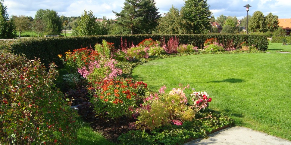 Vackert planterade blommor utomhus, gräs och träd.