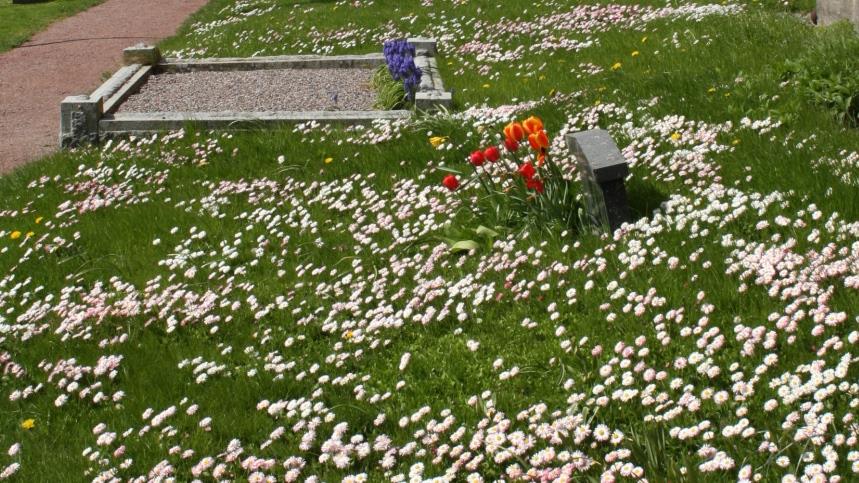 Två gravar och en massa blommor.
