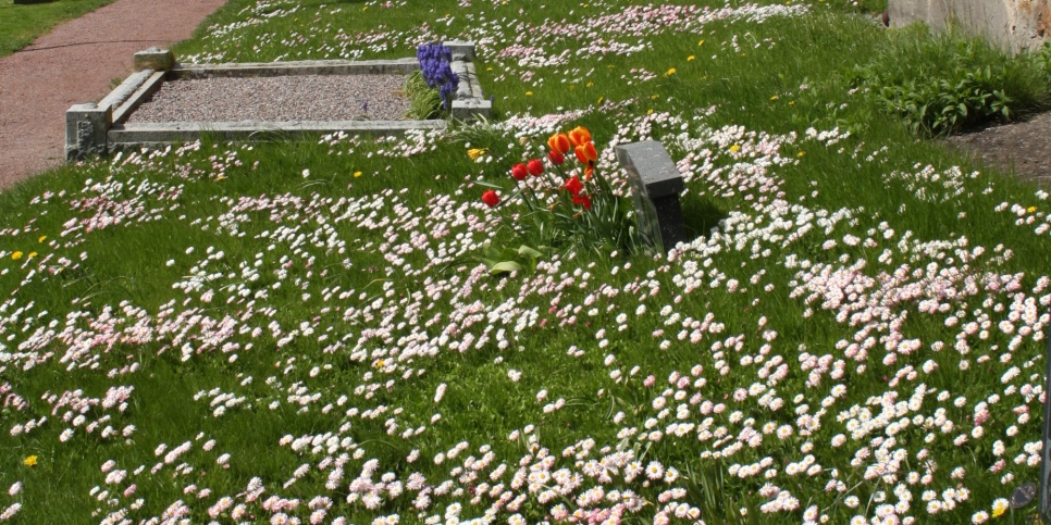 Två gravar och en massa blommor.