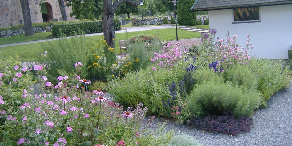 En liten del av Örtagården vid Stefansgården en sommardag