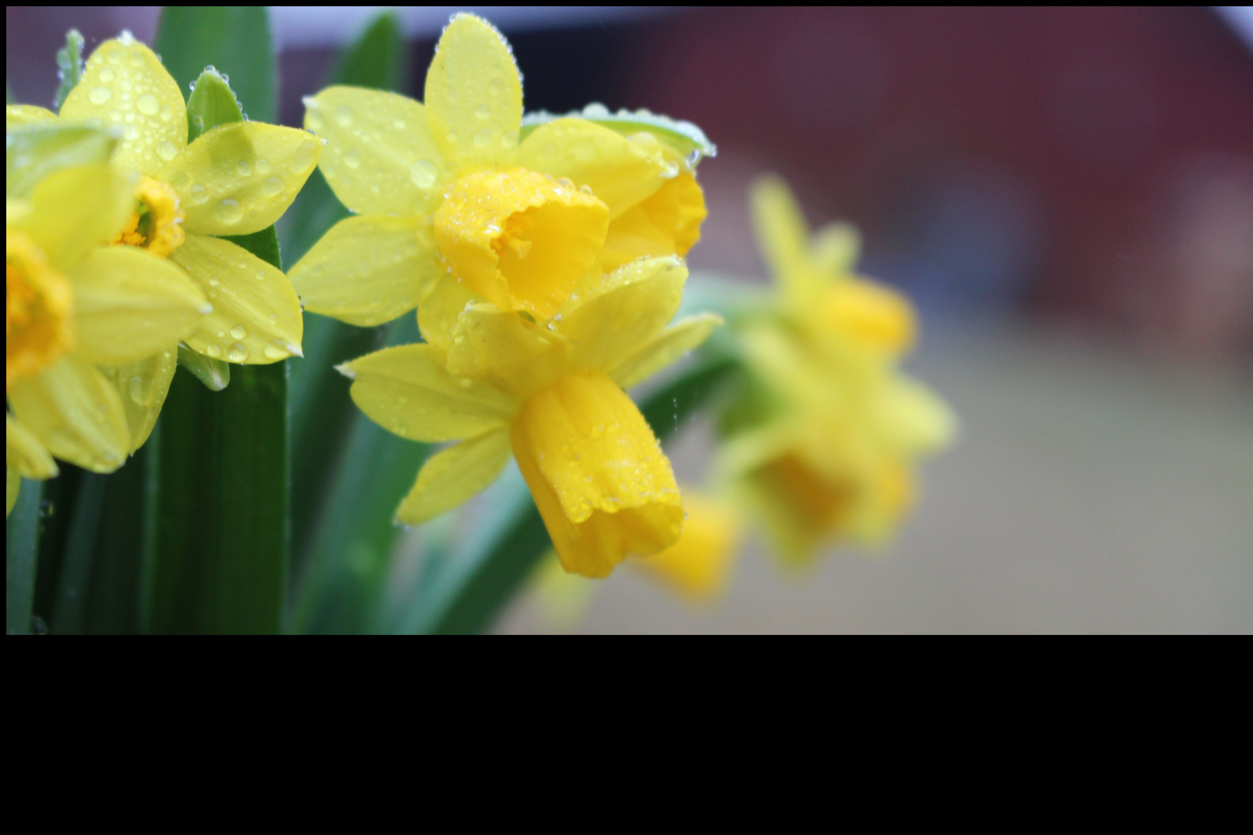 Musikmedverkan i påsk