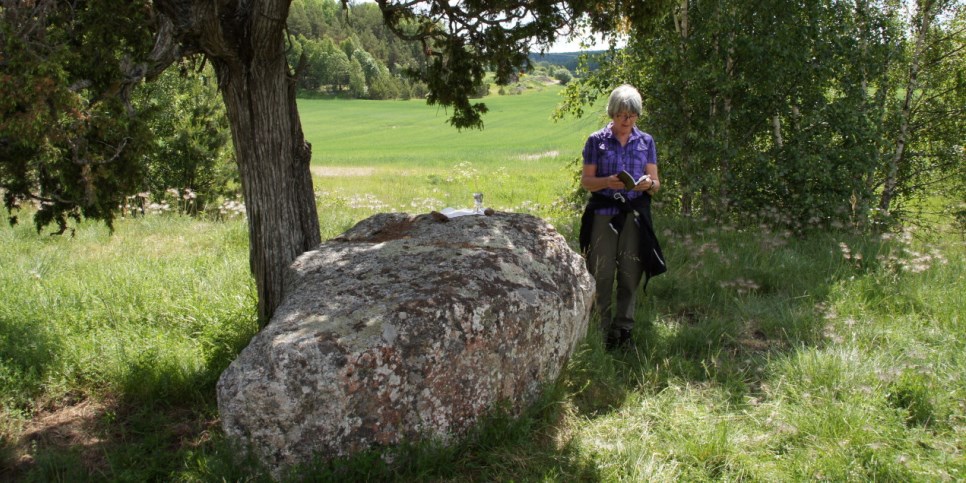 En stor sten, träd, grönt gräs, en kvinna tittar i en bok. Och bakom ett öppet landskap. 