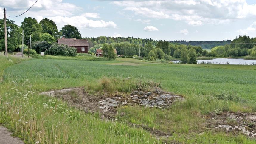 Hus, grönt gräs och sjön där Livstens vikingatida hamn troligen låg. 