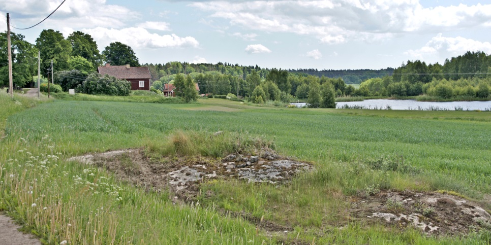 Hus, grönt gräs och sjön där Livstens vikingatida hamn troligen låg. 