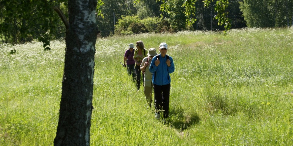 Några människor vandrar på ett led i ett område av högt gräs en varm och vacker sommardag.