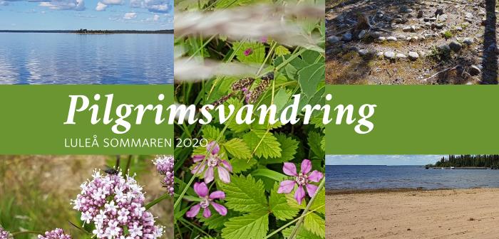 Blommor, himmel och hav
