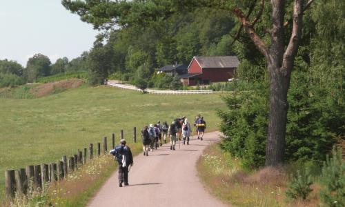 Är du intresserad av att pilgrimsvandra? Då kan du följa med Roslagens östra pastorats kyrkoherde Mika Wallander när hon vandrar mellan de 19 kyrkorna som finns i pastoratet. Nästa vandring är en flerdagarsvandring från Singö kyrka till Arholma kyrka 25-28 juni.