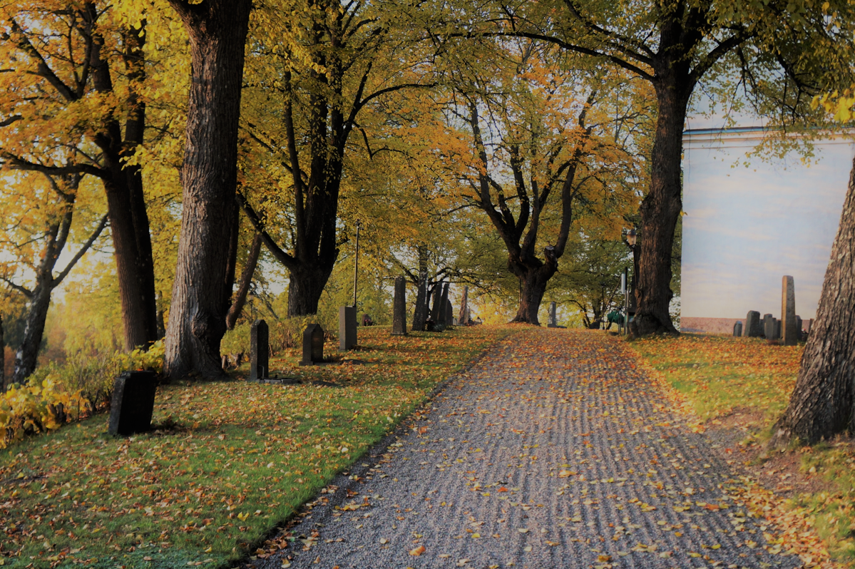 Krattad grusgång på kyrkogård på hösten
