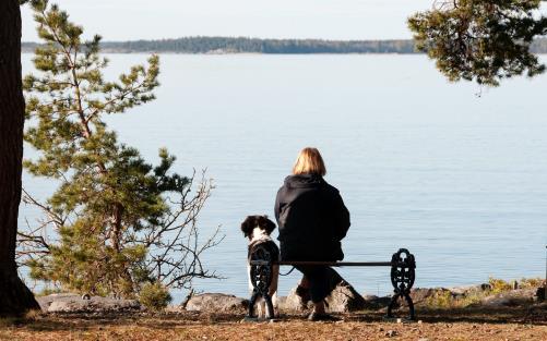 kvinna på bänk blickar ut över havet. Hon har en hund på sin vänstra sida.