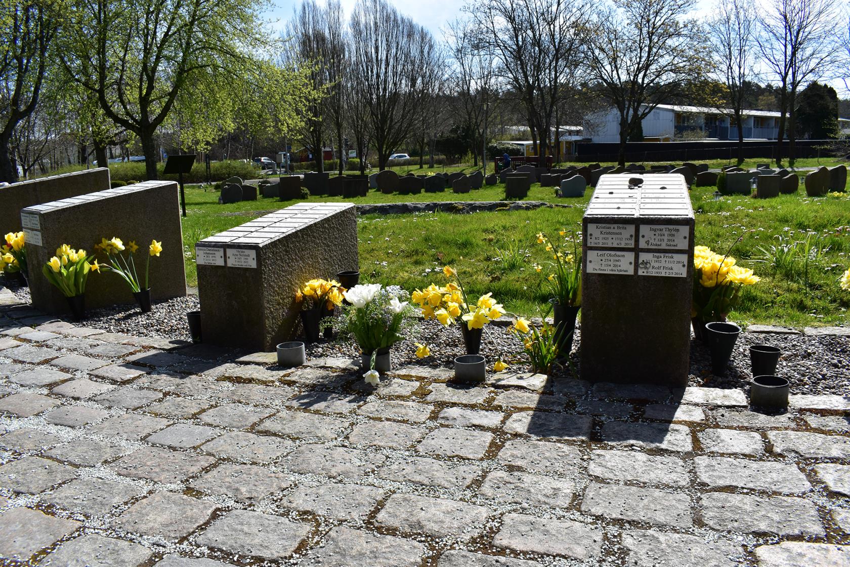 Torslanda kyrkogård gravfält med askgravlund i förgrund och kistgravar i bakgrunden