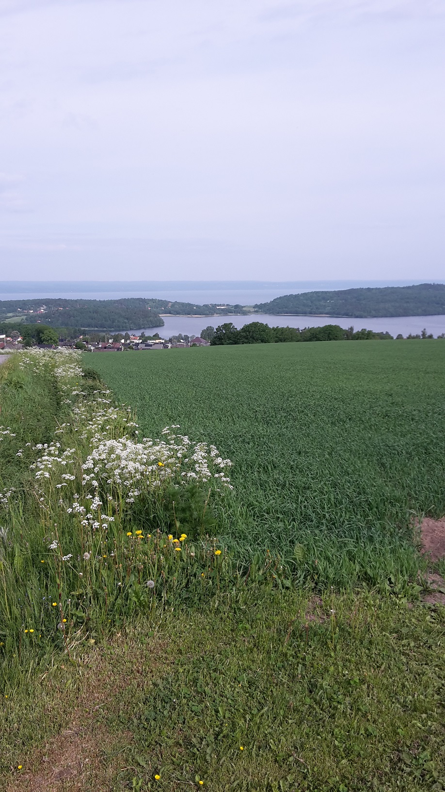 Utsikt över Landsjön och Vättern
