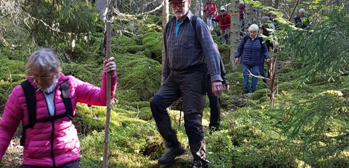I år utökar vi med två sommarvandringar. Vi går i landskap som leder oss till en sjö.