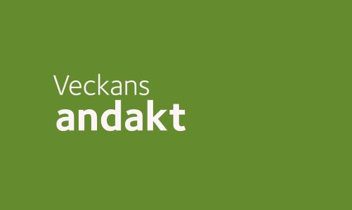 Ny andakt varje måndag! Här finns inspelade andakter från församlingen för dig som inte kan komma till kyrkan eller bara vill ha några minuters ro och eftertanke.
