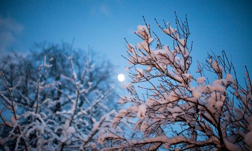 SÖNDAG 31 JANUARI 11.00 i Nora kyrka. Välkommen till mässa i kyrkan med vår kyrkoherde Bengt Bengtsson. Tema: Nåd och tjänst.