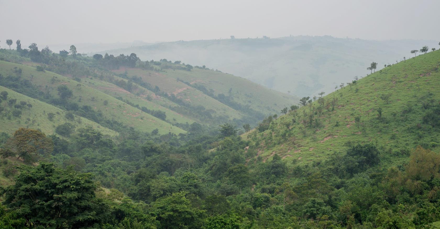 Karagwe i Tanzania.