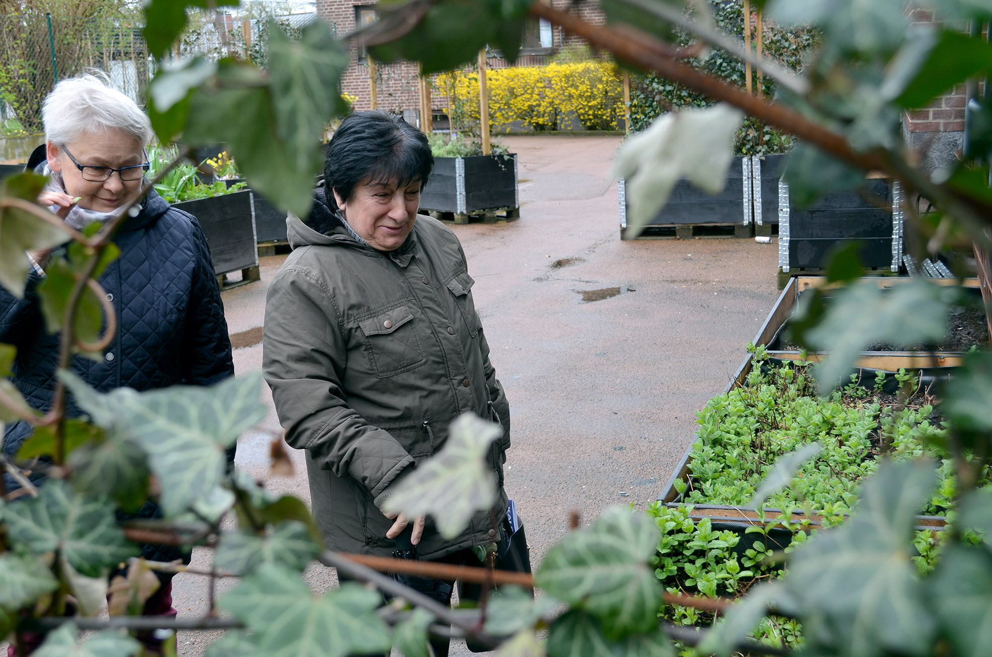 I Ängelholms församling pågår ett EU-projekt med trädgårdsdiakoni, som bland annat resulterat i egna odlingar med blommor och kryddor.