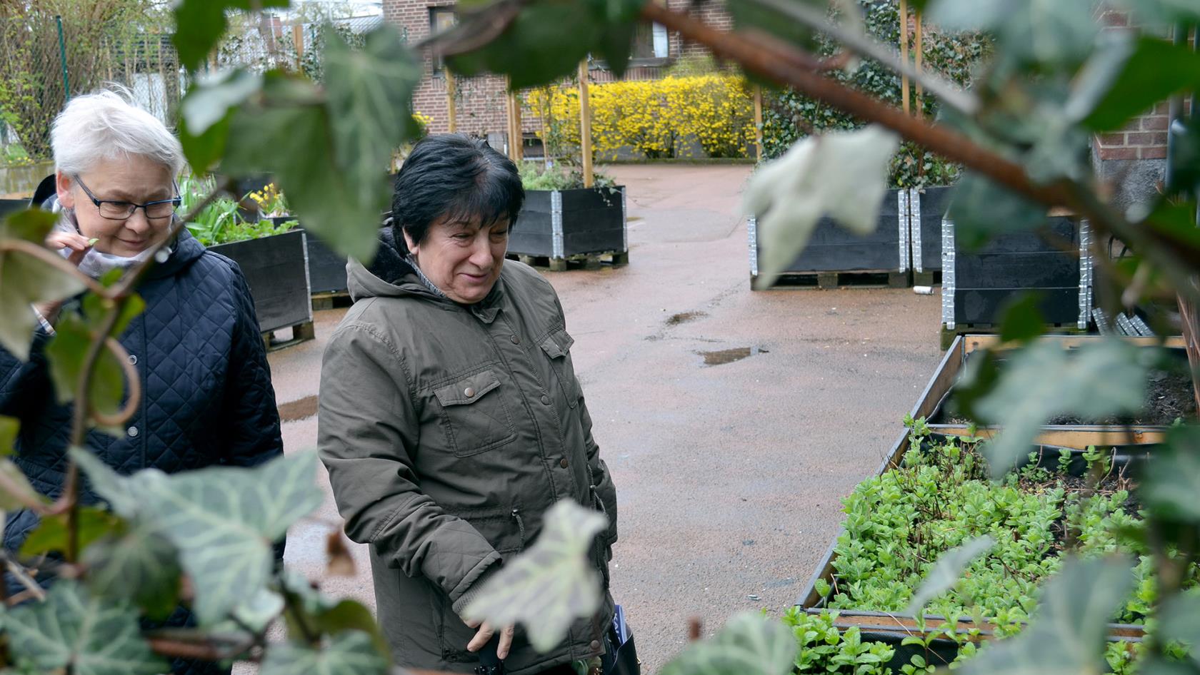 I Ängelholms församling pågår ett EU-projekt med trädgårdsdiakoni, som bland annat resulterat i egna odlingar med blommor och kryddor.