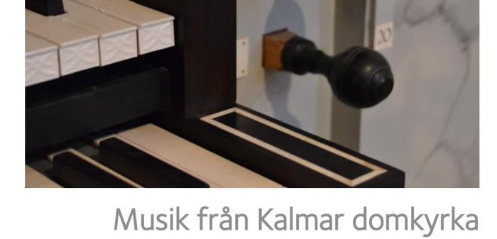 I enlighet med biskop Fredriks rekommendation ställer vi in resten av vårens offentliga konserter och bjuder dig på musik på andra sätt, mest vid din skärm.