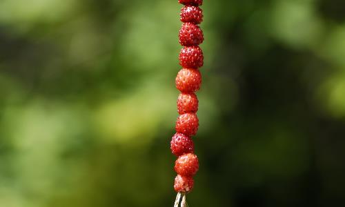 Musik i sommartid och konstutställningar i sommar