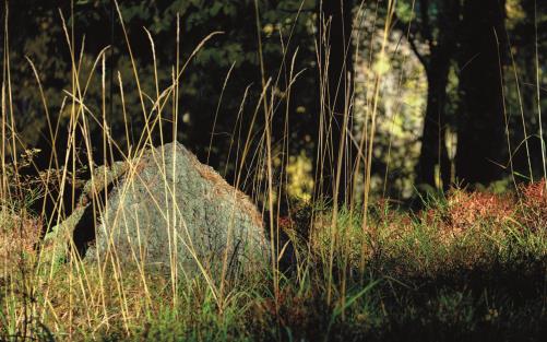 Gravsten på Skogsö kyrkogård