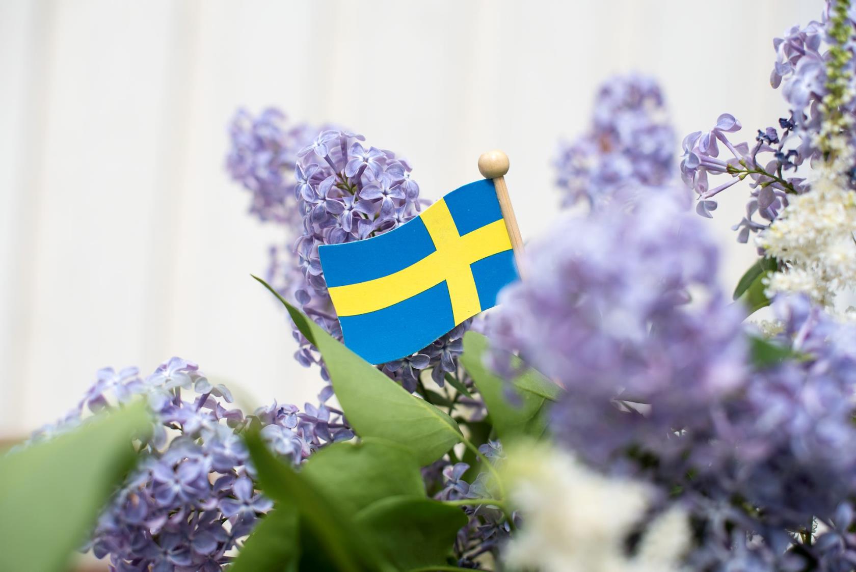 blommor med svenska flaggan