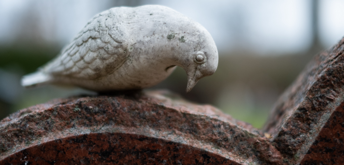 Vi söker efter gravrättsinnehavare på våra kyrkogårdar.