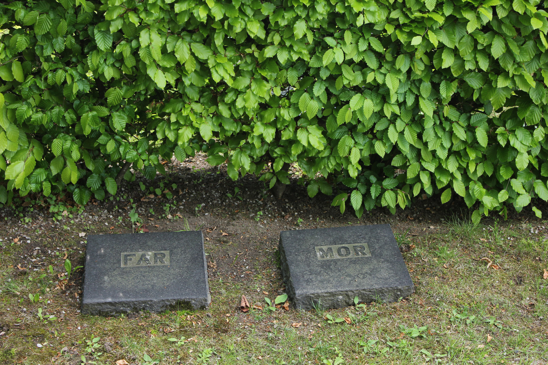 Två gravstenar med orden "far" och "mor"