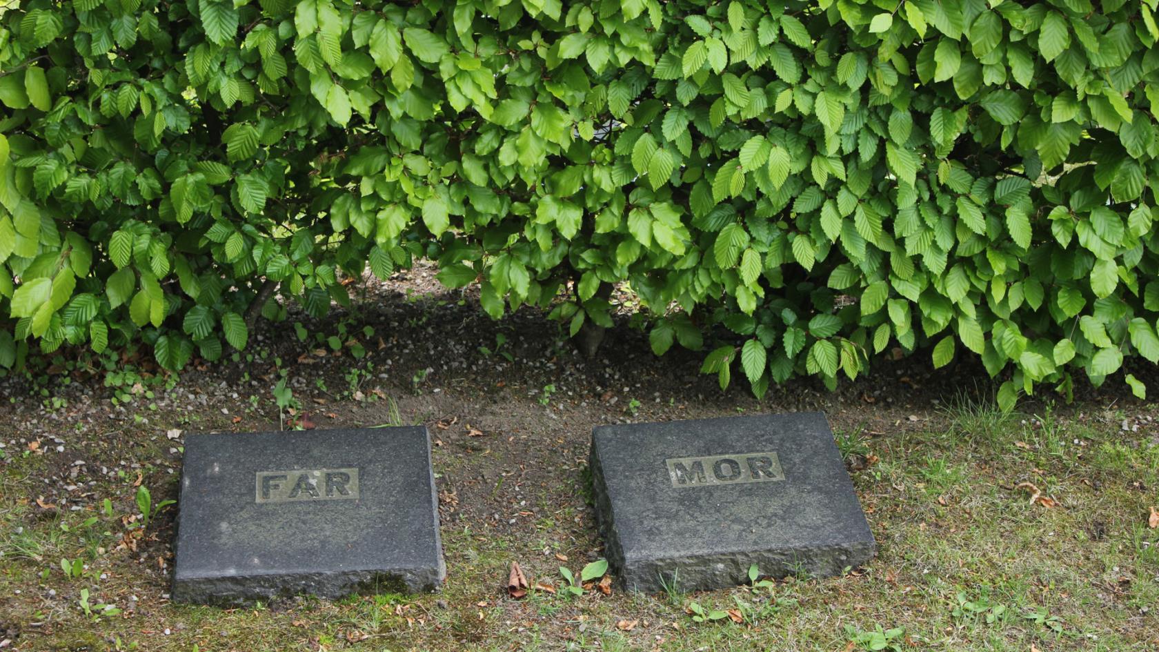 Två gravstenar med orden "far" och "mor"