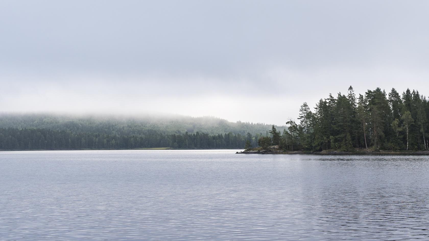 Dimslöjor över en stilla sjö.