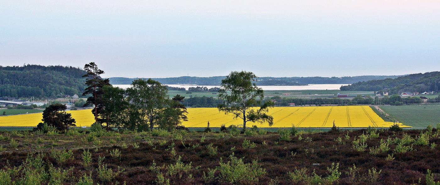 Halland, sommar, utsikt