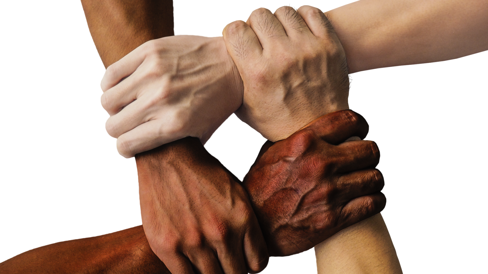 Fyra händer med olika hudfärger håller i varandra.