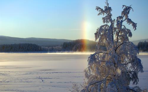 En vintervy över en frusen sjö. I bakgrunden snöklädda berg och ett regnbågsfenomen. I förgrunden en snötyngd björk.