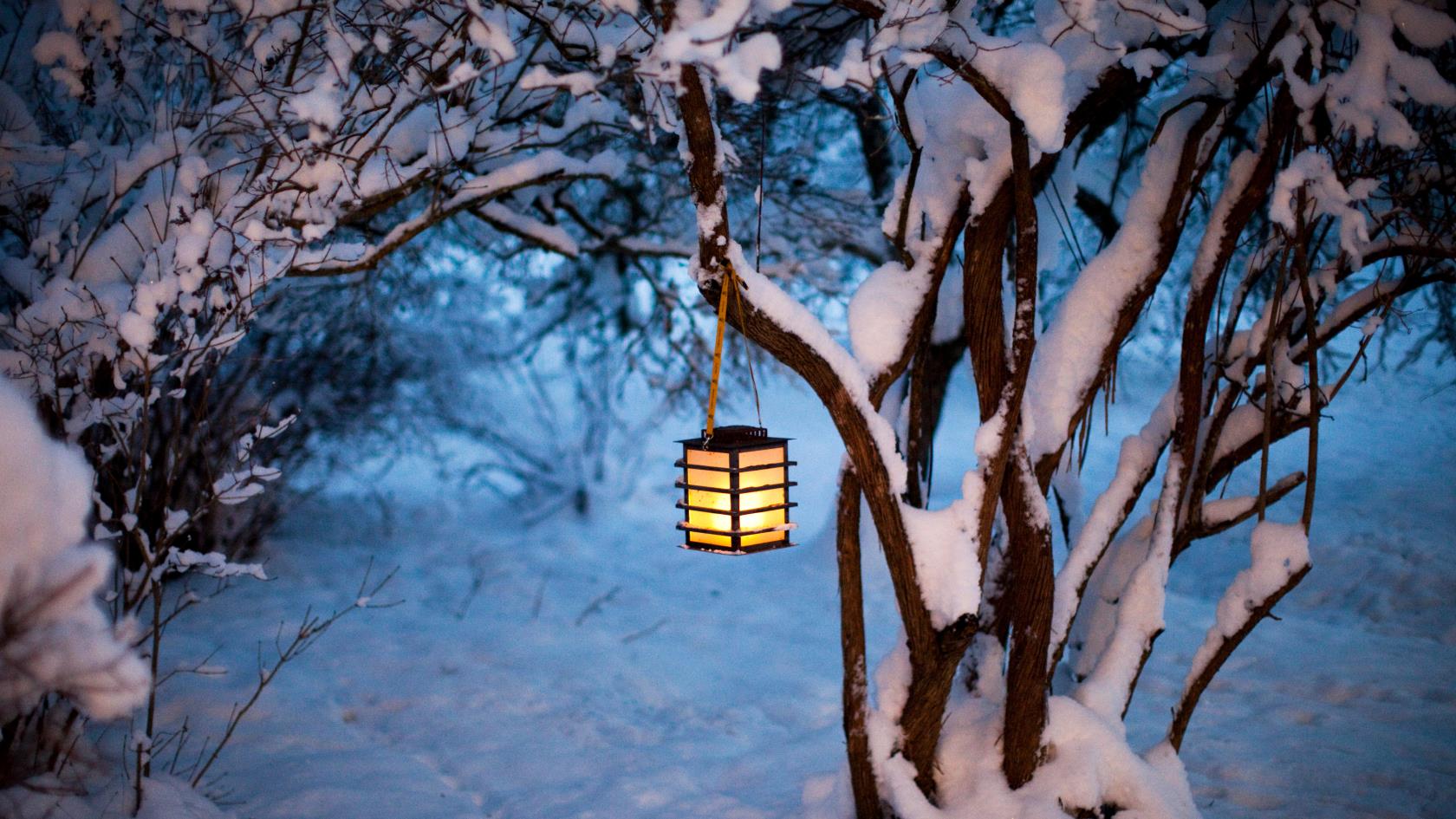En ljuslykta hänger i ett snöigt träd.