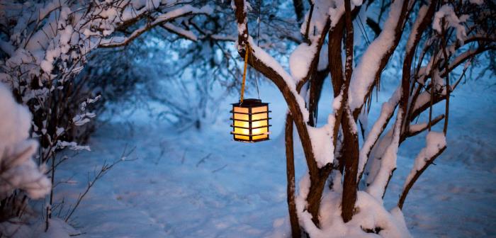 En ljuslykta hänger i ett snöigt träd.