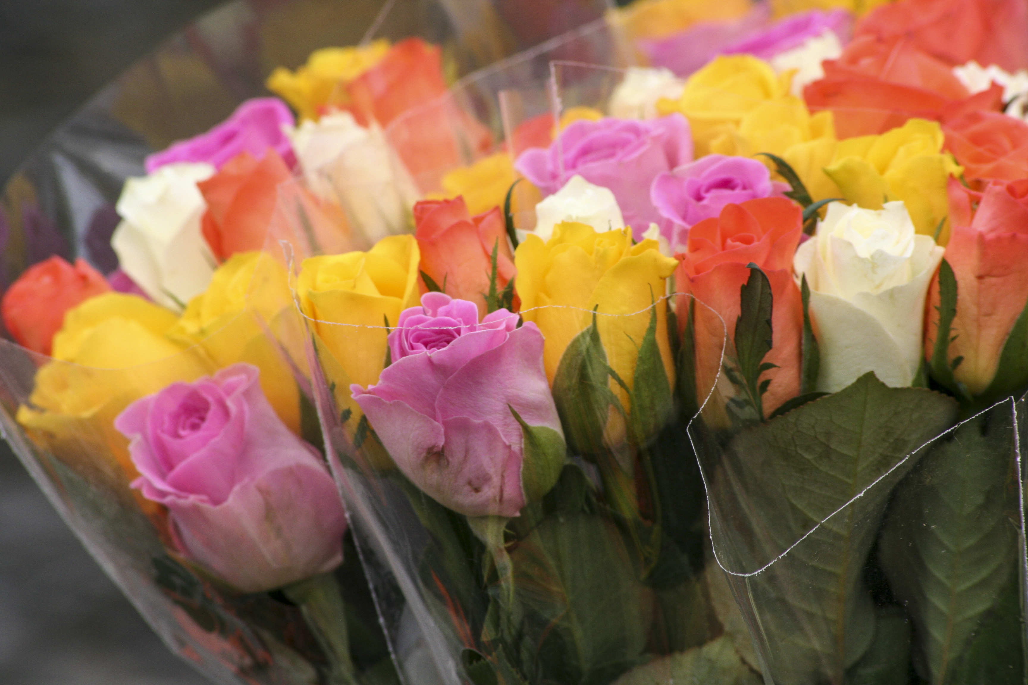 Buketter med rosor i olika färger.