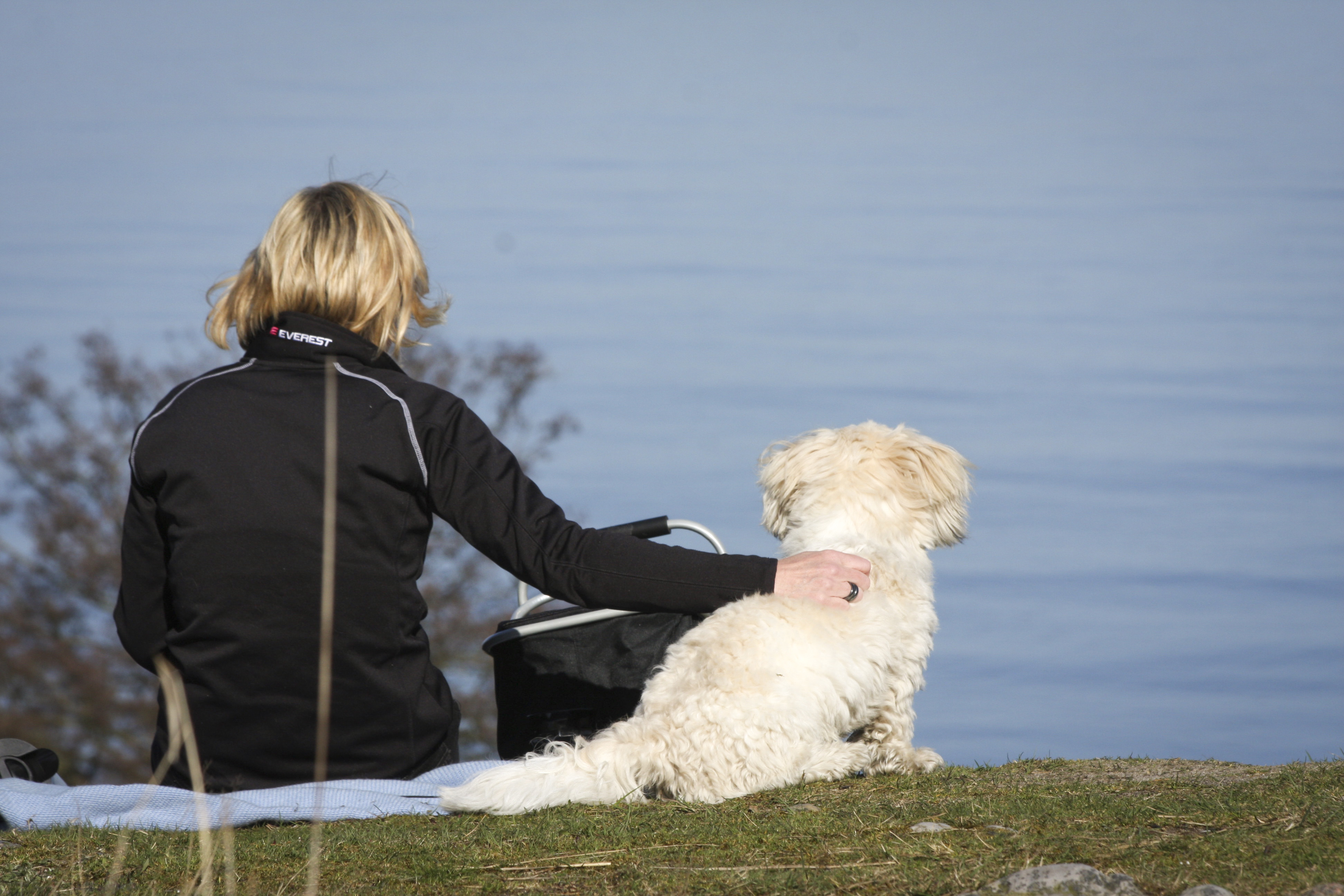 En kvinna sitter med sin hund och tittar ut över vattnet.