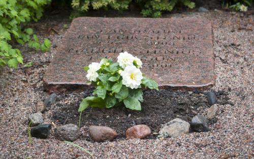 Vita planterade blommor på en grav.