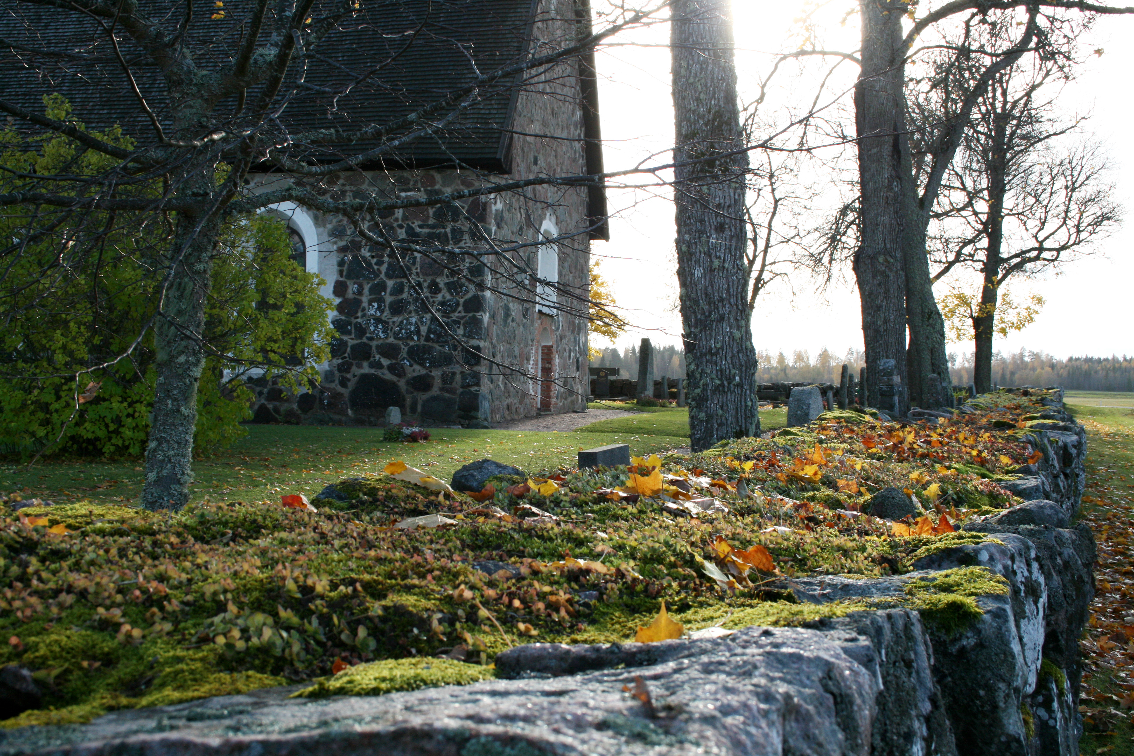 Mossa och höstlöv på en stenmur utanför en kyrka.