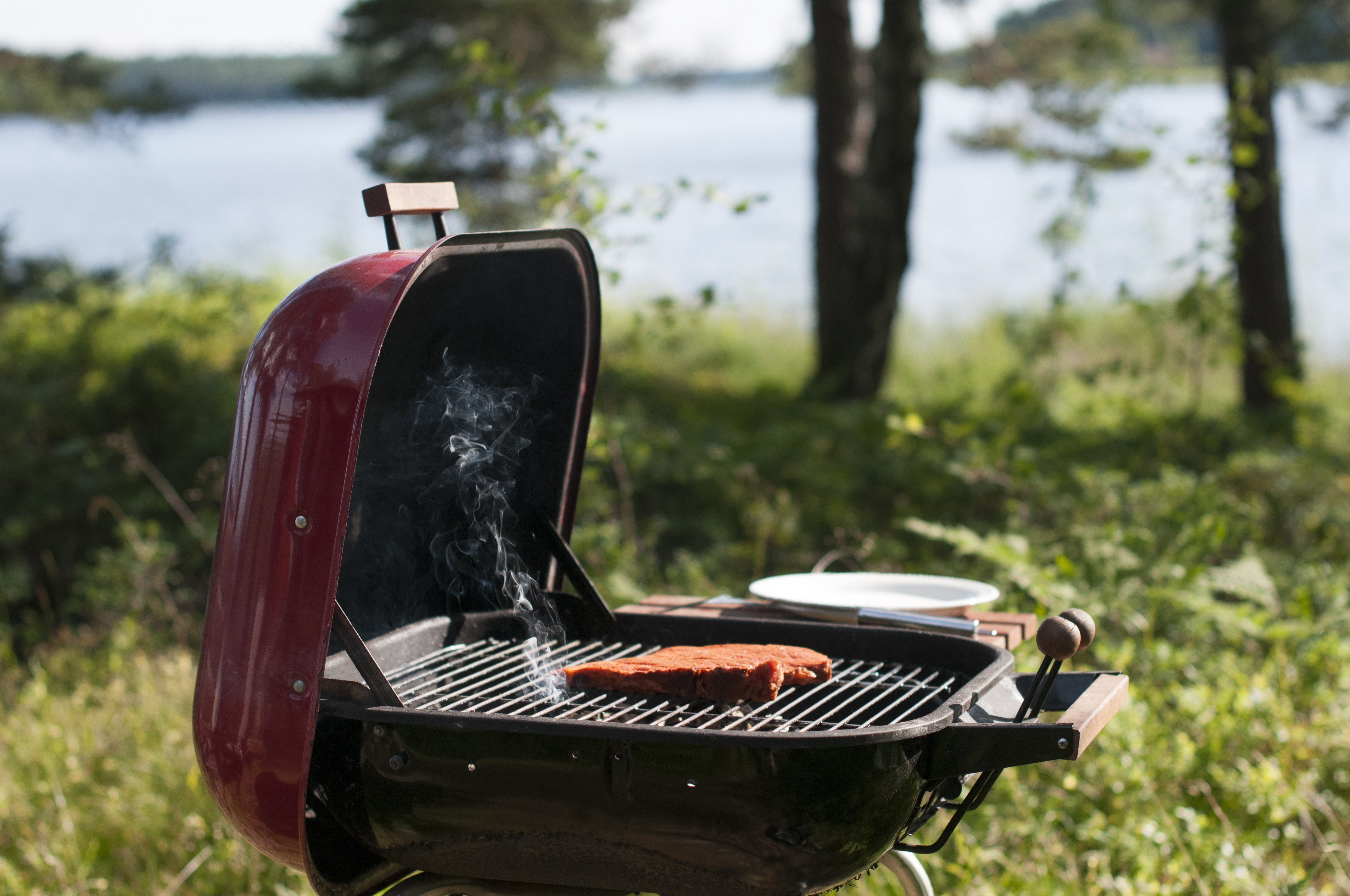 En köttbit på en grill. En sjö i bakgrunden.