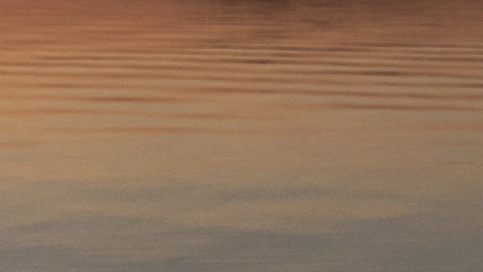Vågor från en båt i stilla vatten vid solnedgången.