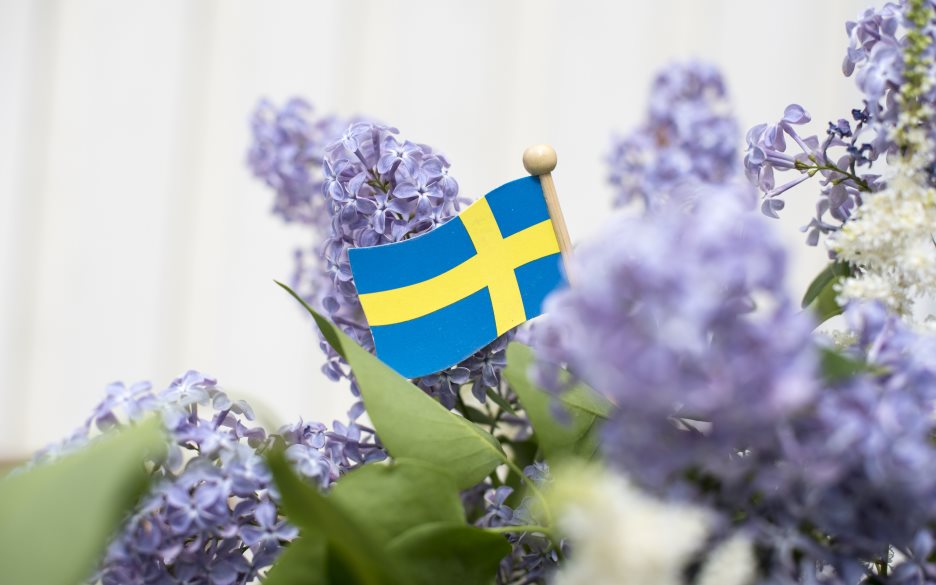 En liten svensk flagga i trä sticker upp bland några lila syrener.