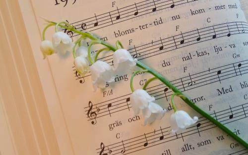 En liljekonvalj ligger på en psalmbok uppslagen på Den blomstertid nu kommer.