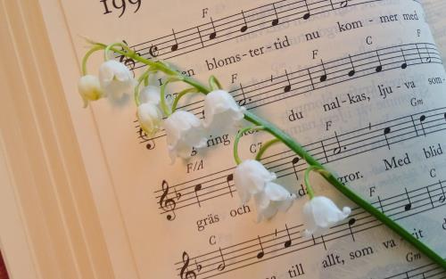 En liljekonvalj ligger på en psalmbok uppslagen på Den blomstertid nu kommer.