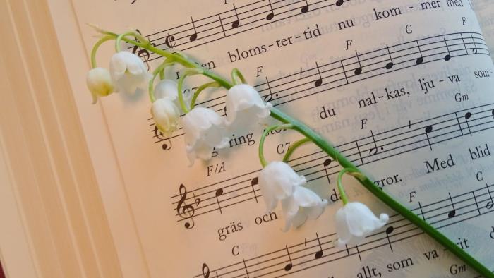 En liljekonvalj ligger på en psalmbok uppslagen på Den blomstertid nu kommer.