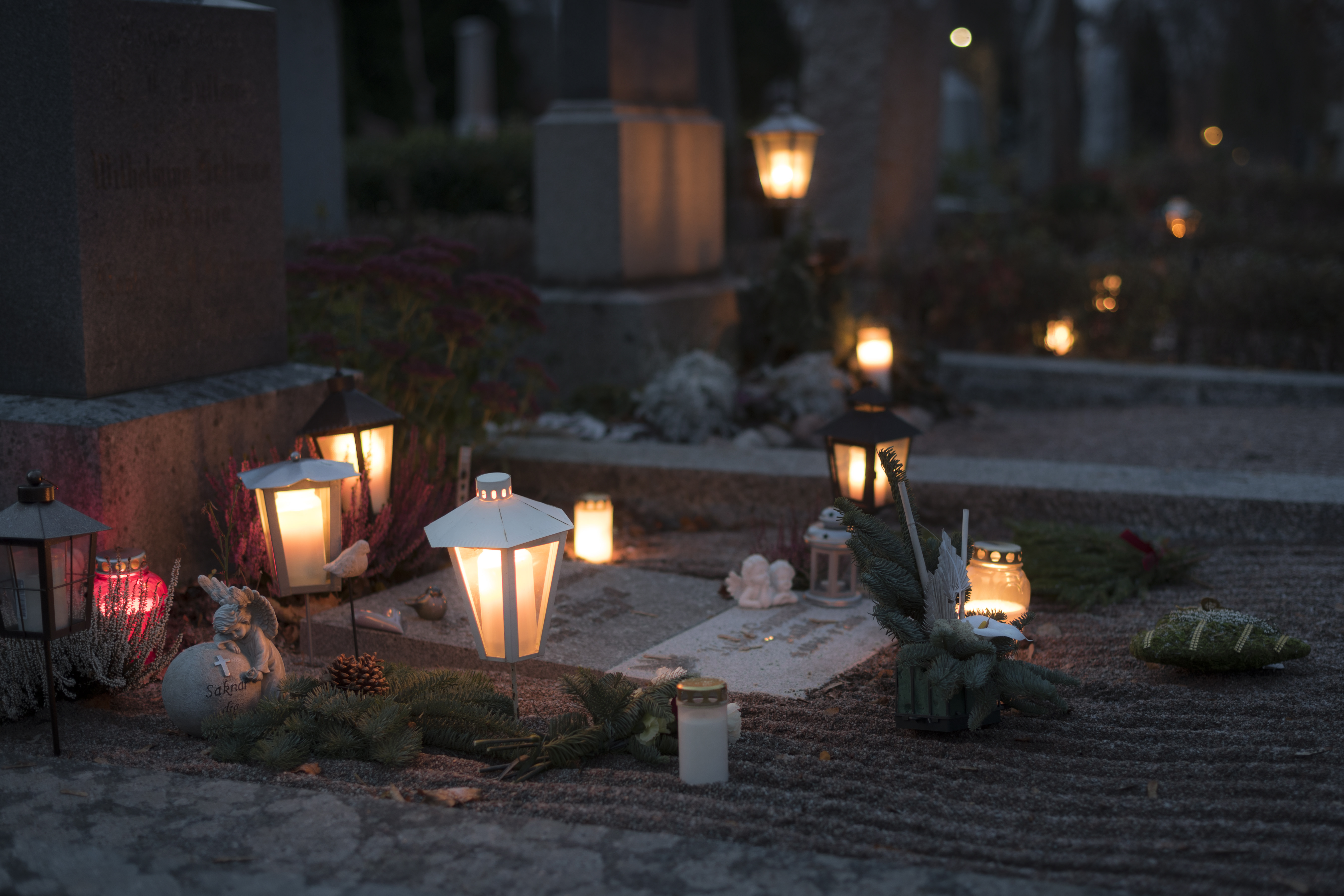 Flera ljuslyktor, kransar och stenänglar ligger på en gravplats.