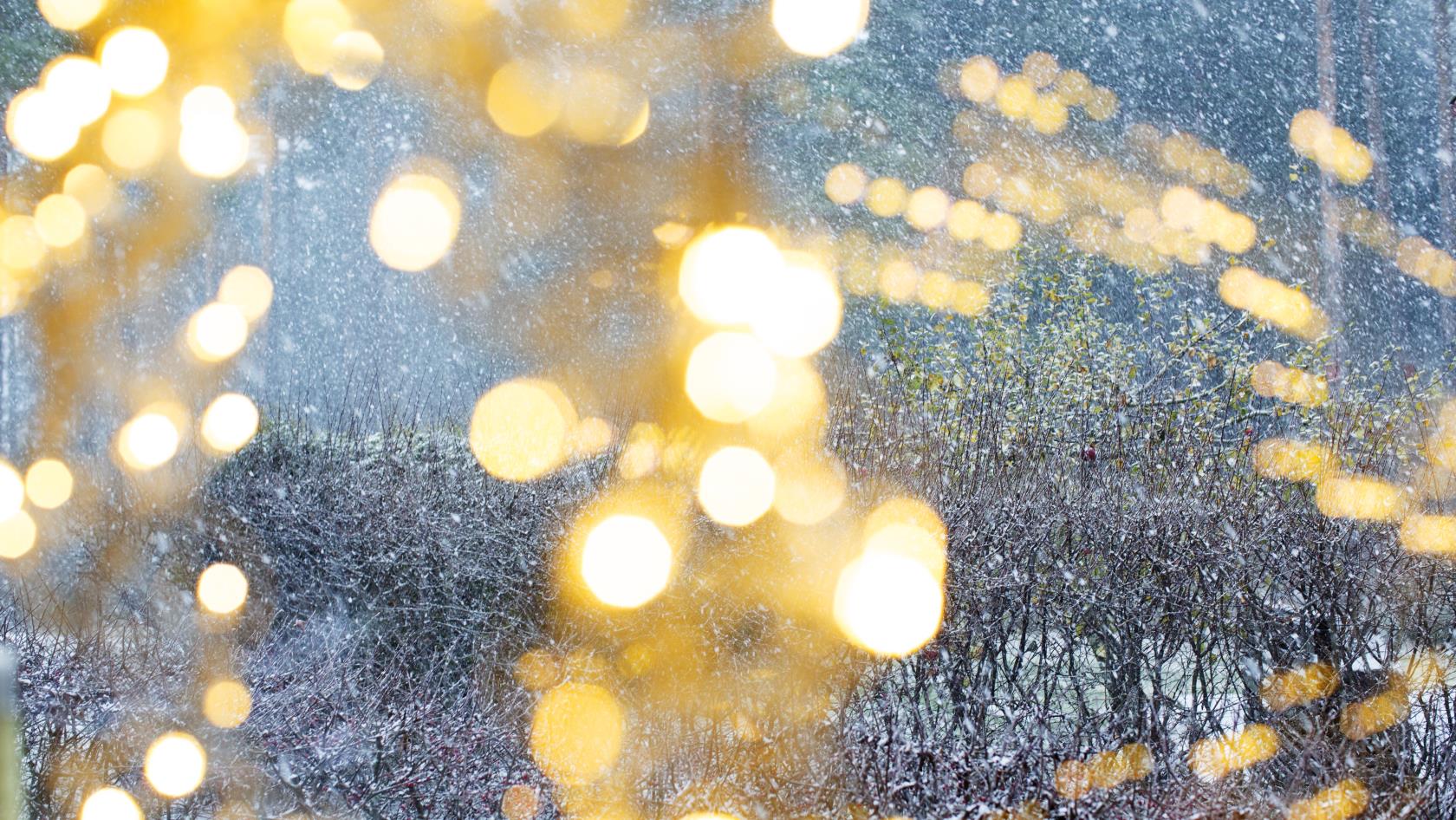 En ljusslinga hänger i ett fönster. Snön yr utanför bland lövlösa buskar.