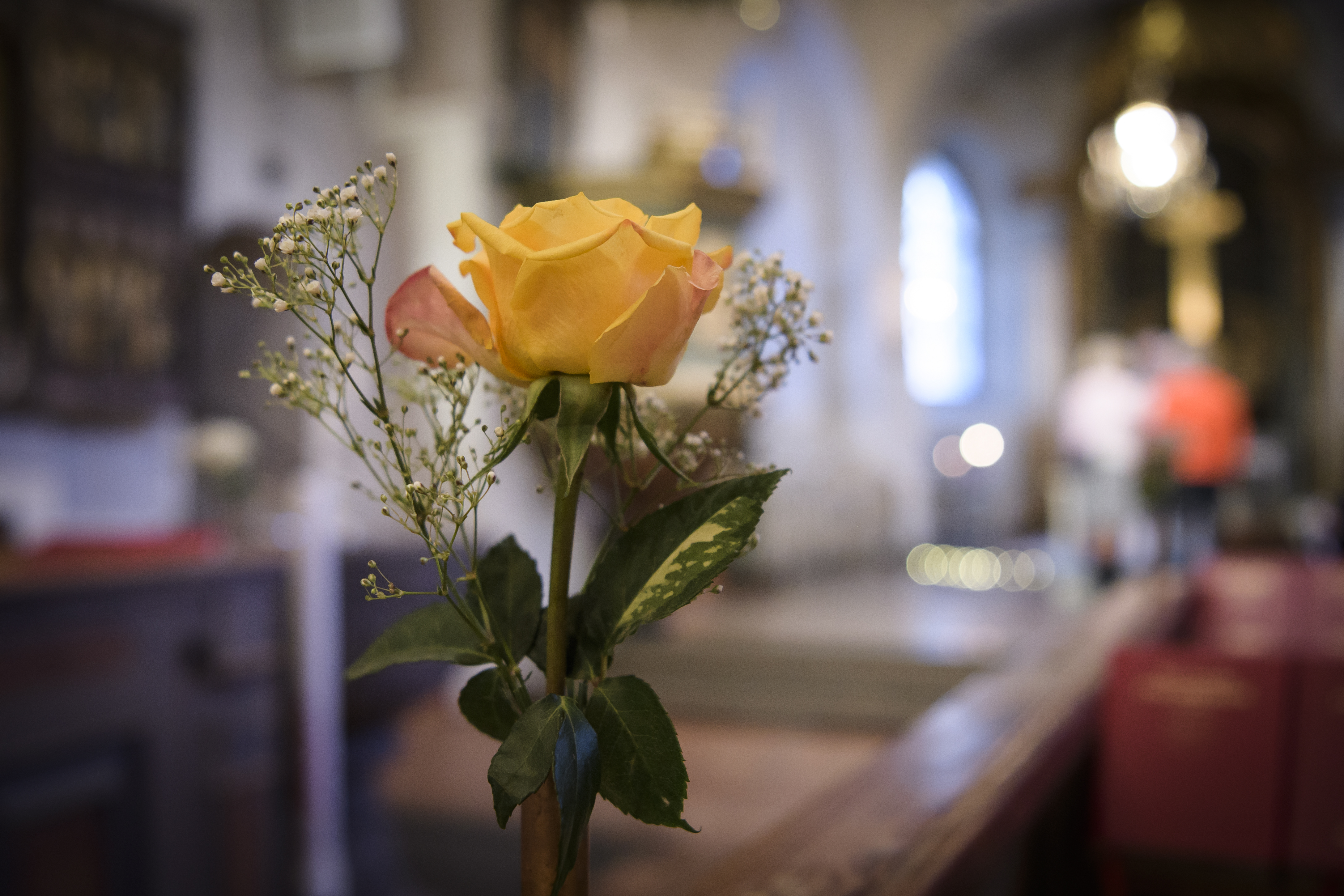 Närbild på en gul ros som står i en kyrka.