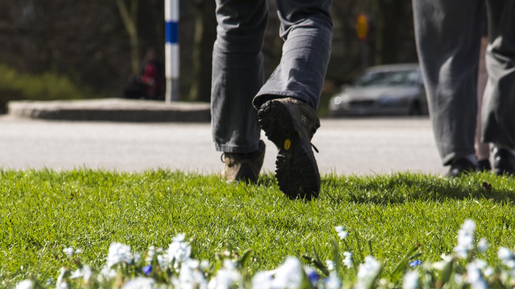 Två personer går utomhus. Vårblommor i förgrunden.