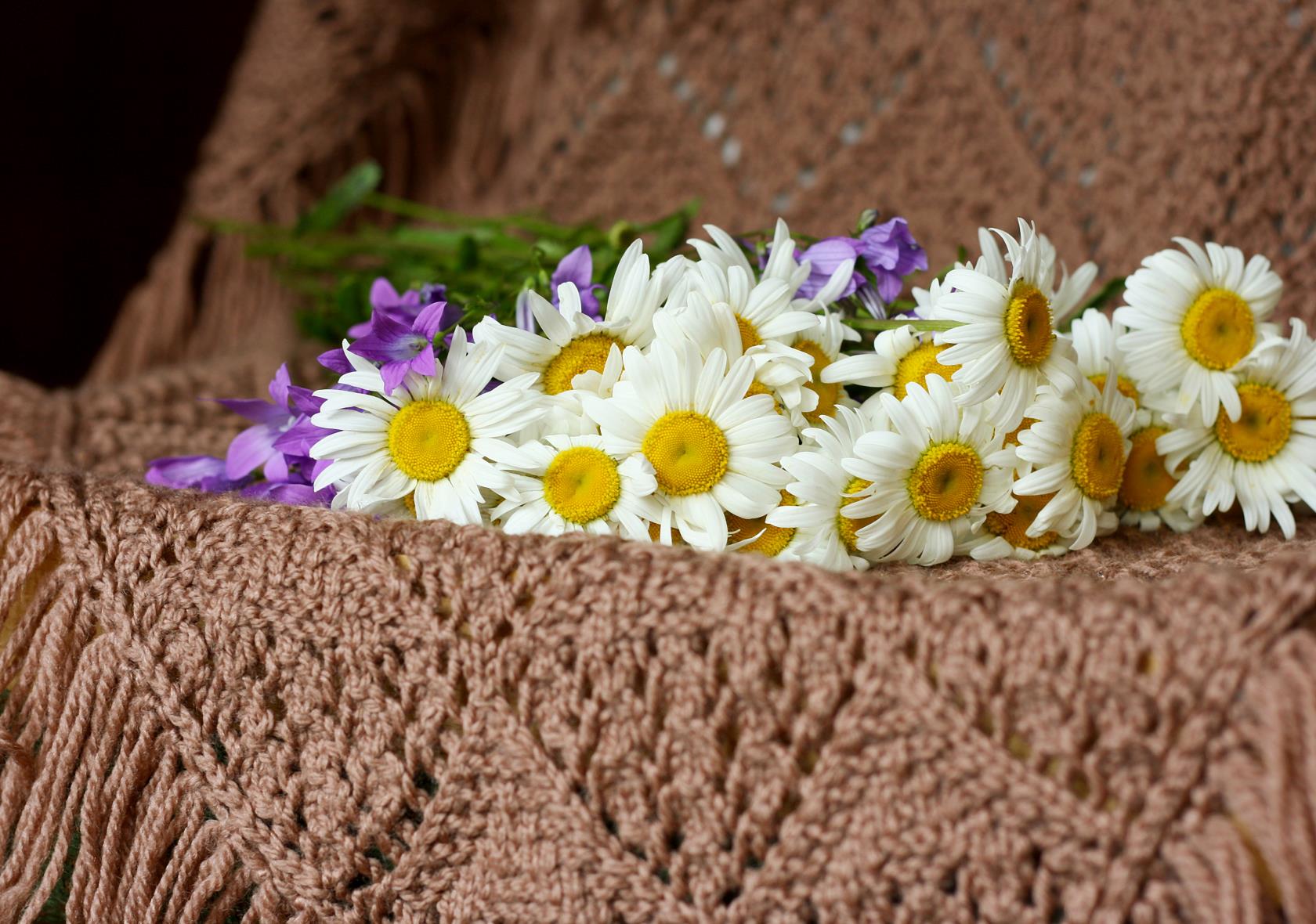 En bukett med vilda blommor ligger på en brun stickad filt.